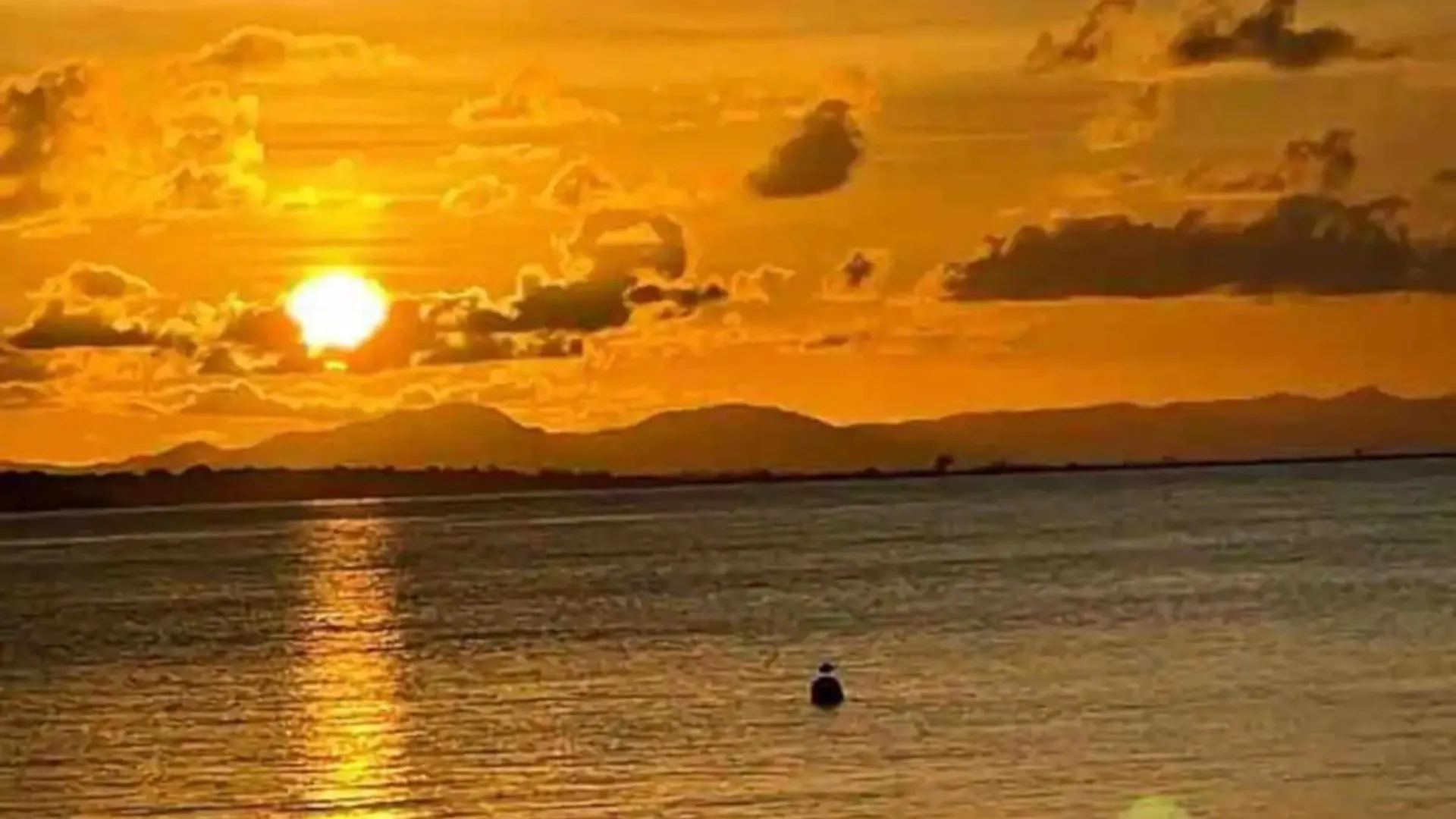 Apartahotel Apartamentos En Viques Puerto Rico Vieques